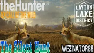The Silent Hunt - The Hunter: Call Of The Wild