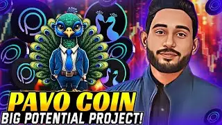 PAVO COIN NFT: ELEGANCE, SECURITY & LUXURY IN EVERY TOKEN! 🚀💎 #NFT #CRYPTO
