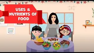 Применение и питательные вещества в продуктах питания | Обучающее видео для детей | Fefdy🍎🥖🥚