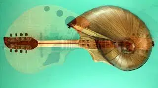 mandolin. Handmade unique design. Custom build.