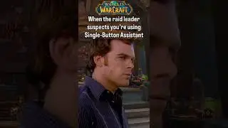 When the Raid Leader Suspects You&rsquo;re Using Single-Button Assistant | WoW Memes #worldofwarcraft