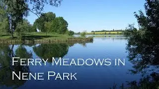 🌍Ferry Meadows in Nene Park, UK 🇬🇧 🕊🦢🦆 relaxing climate 🧘&zwj;♂️