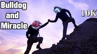 Bulldog Disruptor with Miracle Drow