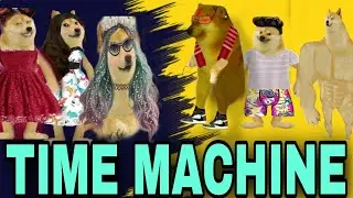 TIME Machine with girls v/s boy's ||funny cheems video, ft: dog || #cheems #cheemshindi