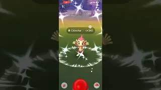 Catching Shiny Chimchar in #pokemongotour
