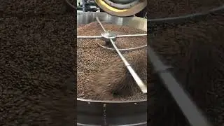 Fresh Coffee Beans cooling - Eric Doublin