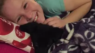 Little Bailey Stephens