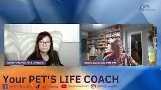 Live with The Spaw and Wholistic Veterinary Care!