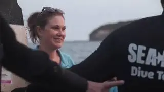 Endangered Grey Nurse Shark has been successfully relocated | SEA LIFE Sydney Aquarium
