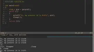how to kill a process in linux