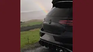 German Whips
