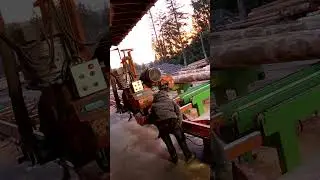 Woodmizer LT40 w/ Accuset 2 | Day in the Life of a Sawyer Noob