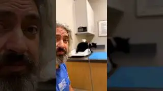 Emergency pet hospital this morning&hellip;
