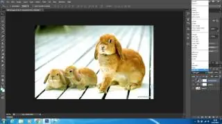 rabbit Photo Effect  in  Photoshop