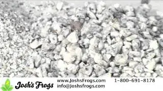 Josh's Frogs Decorative Drainage Layer for Container and Fairy Gardens