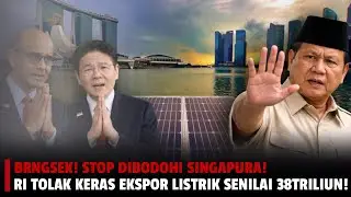 Indonesia Hampir Jual Masa Depannya ke Singapura! Skandal Listrik Hijau