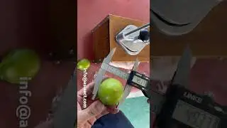Lime Slicer #wedger #lemon #lime #cutter #slicer