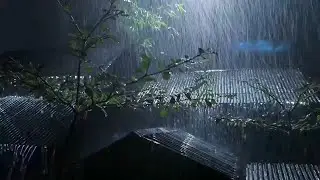 Comfortable Atmosphere for Resting Heavy Rain and Cool Air Very Comfortable for Relaxation