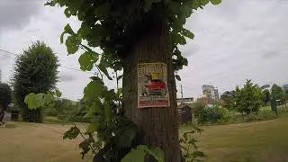 Newbury Showground Fly Posters.
