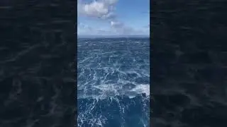 Incredible Sea Waves | Sea View | Short Video