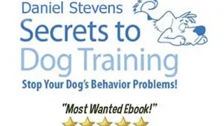 Secrets To Dog Training Review - Secrets To Dog Training Ebook Download
