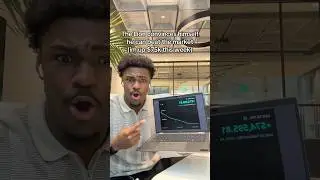 The lion has crazy investing gains🤩 #finance