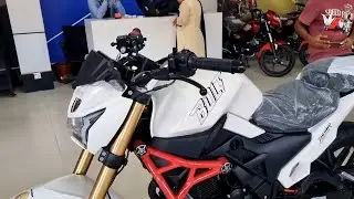 New Runner Bolt 165 - All-Rounder on the Way / Best 2021
