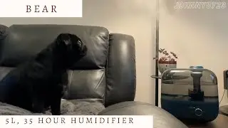 Really strong cool mist whole room humidifier from BEAR!