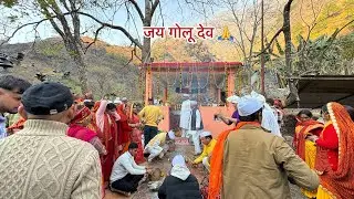 जय गोलू देव 🙏 ननिहाल गये पूजा मैं बहुत मजा आया 😅 @mannudavlogs..9752 #phadilifestyle #blogger #blog 