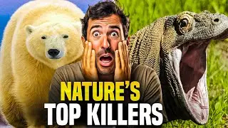 The Top 10 Deadliest Predators in the Wild