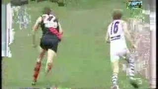 AFL Round 8 2005 Essendon Vs Fremantle