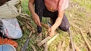 Thai MomFollowDaily life of a single mother, harvestingcassava, cutting bananas to sel11