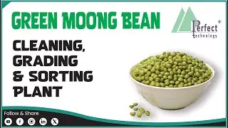 || Green Mung Beans Processing Plant || Made by Perfect Transforming Technologies Pvt. Ltd.