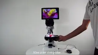 AS4100 Series smart digital LCD microscope