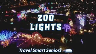 Lincoln Park Zoo Lights 2022