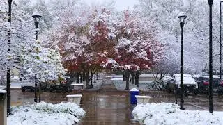 K State Snow