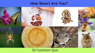 How Smart Are You?  30 General Knowledge | 30 Biology Questions