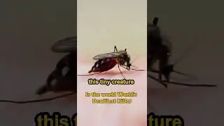 DeadlyAnimals