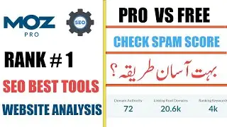 Achieve Top Search Engine Rankings with Moz Pro
