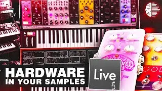 How to Use HARDWARE in your SAMPLES | Ableton Tutorial