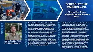 Ocean Blue Holes: A Biogeochemical Treasure Trove