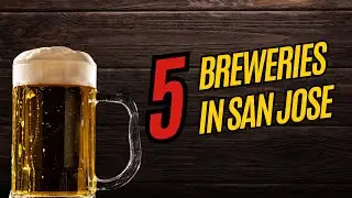 5 Bars Beer Lovers Go To in San Jose #bayarea