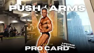 Der Pump war geisteskrank&hellip; Push & Arms Training | Road to Pro #15
