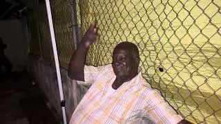 SWEET REGGAE MUSIC KING HARMONY IN TRELAWNY
