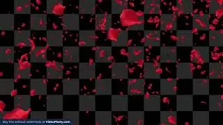 Rose Petals Loop Transition Pack [Motion Graphics]