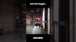 Ruh Roh Raggie..
