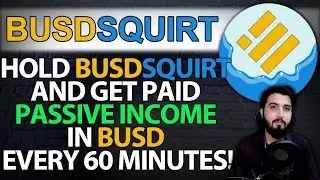 BusdSquirt - 25% Rewards - Highest BUSD Rewards ever on BSC