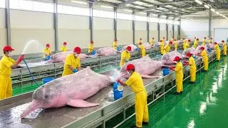 Inside the Inia geoffrensis Trade - How Pink Dolphins Are Processed for Pastel Pink Jewelry