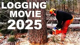 LOGGING MOVIE 2025 LOG CABIN & UTILITY POLES!