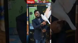 #magician #magic #illusion #tricks #safamagichouse